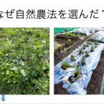 自然農法と慣行農法の違いについて図解